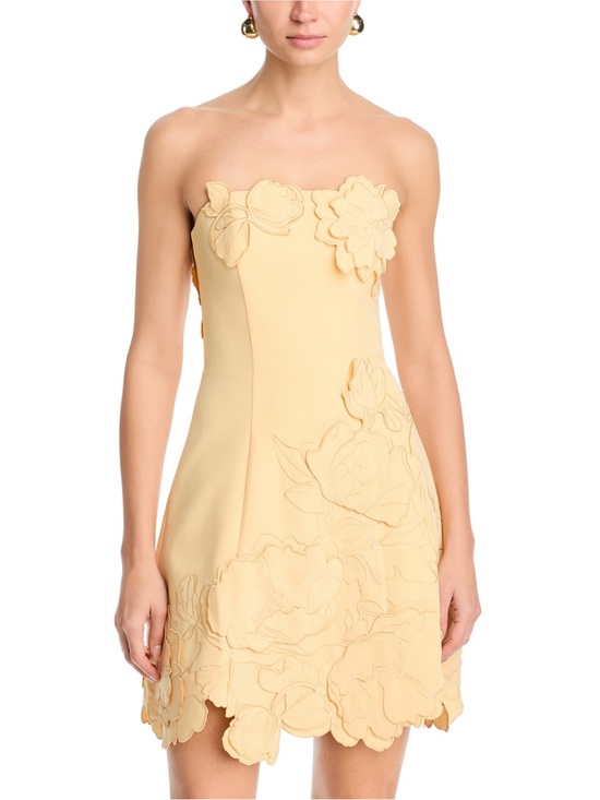 Leo Lin Dresses & Skirts - NWT Leo Lin Ayla Strapless Floral Appliqué Mini Dress in Pale Yellow